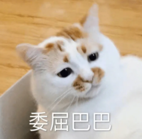 時隔16個月,85屆全國藥品交易會來了!(圖2) 1-220919103T2O9.png