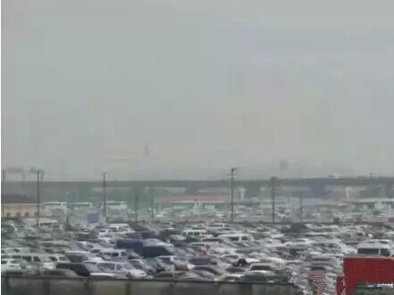 上海藥交會到底長啥樣，竟然傷了全國醫藥人的心？(圖3)